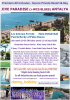 Click to enlarge JIVE PARADISE DANCE HOLIDAY EXTRAVAGANZA